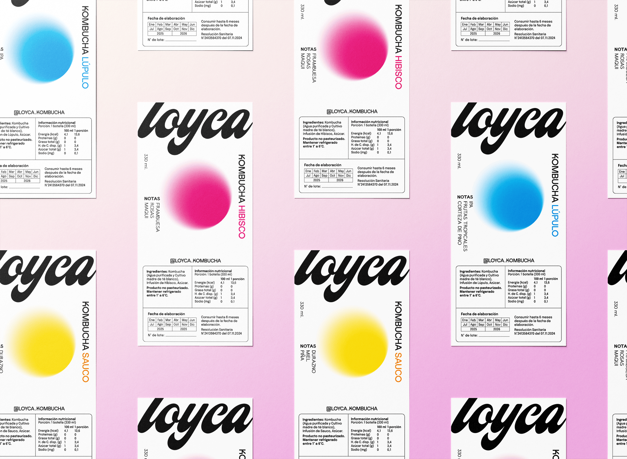 Kombucha Loyca